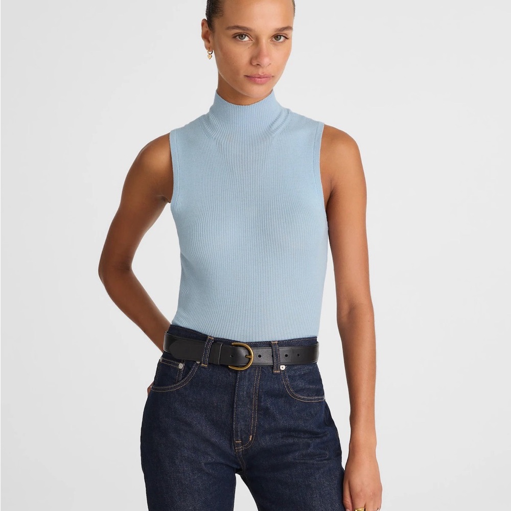 Madewell Soft Blue Knit Turtleneck